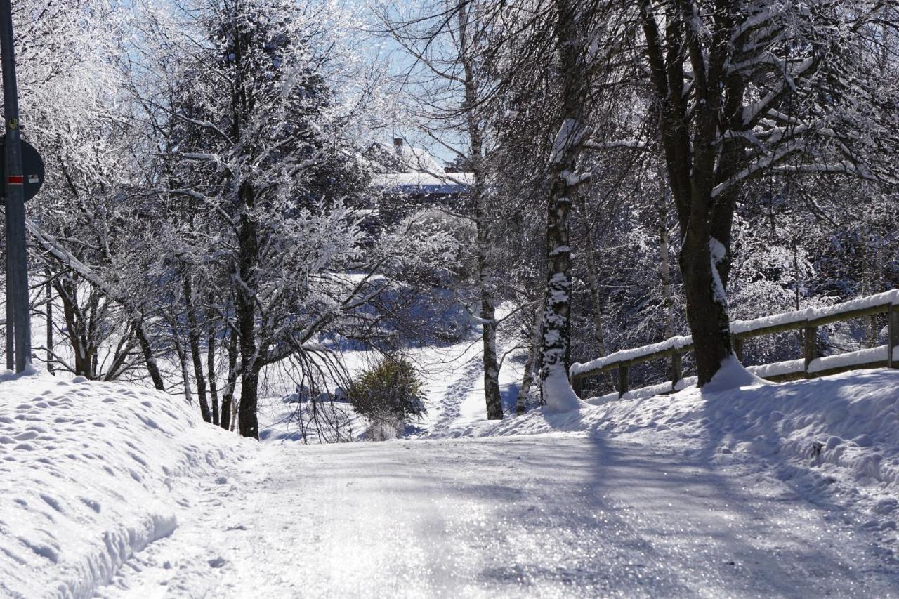 شقة Wanderlust - Thueringer Wald, Rennsteig, Finsterbergen فريدريشرودا المظهر الخارجي الصورة